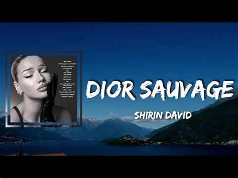 dior sauvage lyrics shirin|Dior Sauvage .